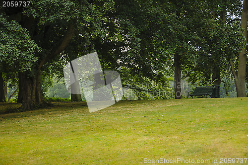 Image of Empty bench in a park