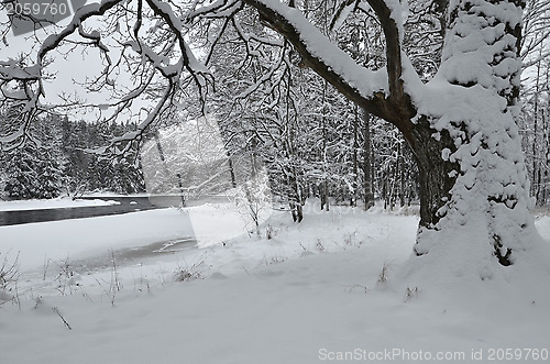 Image of River in winter