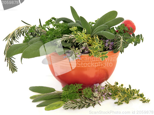 Image of Fresh Herbs