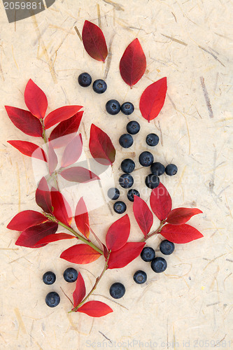 Image of Blueberry Fruit