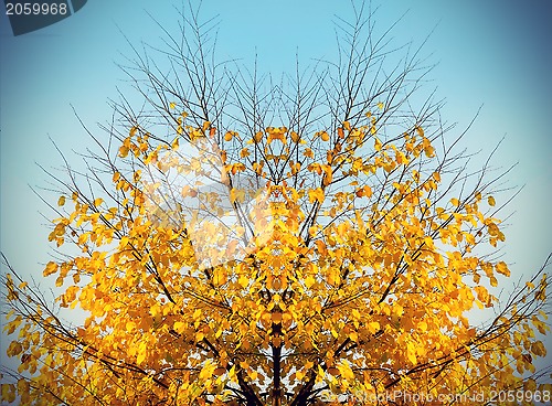 Image of Autumn tree on sky background