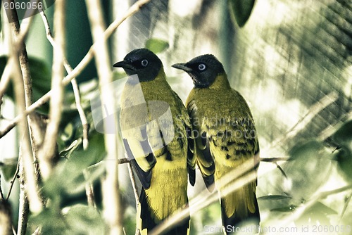 Image of Birds Park in Kuala Lumpur