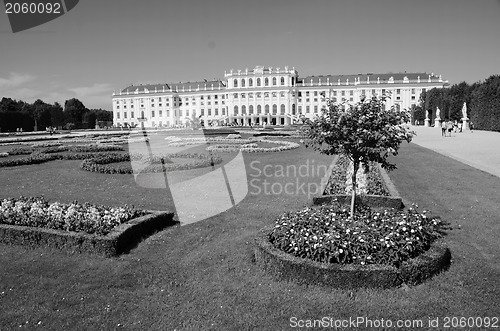 Image of Gardens and Flowers inside Schonbrunn Castle