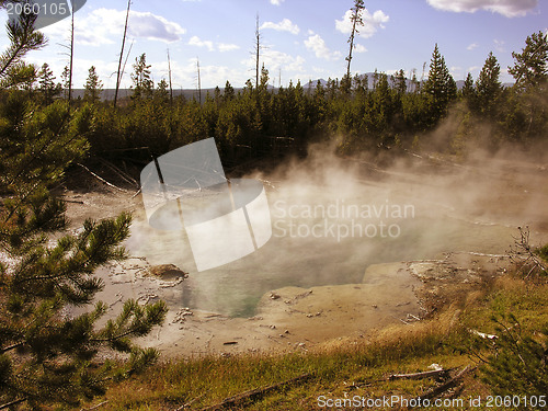 Image of Yellowstone Geyser