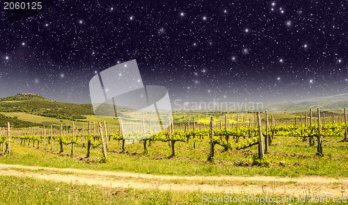 Image of Fields and Meadows of Tuscany in Spring