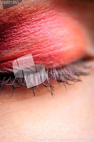 Image of Eye of a woman closeup