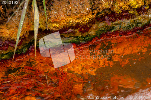 Image of Polluted water flowing