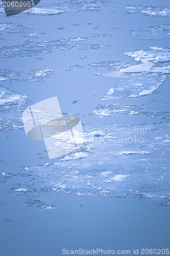 Image of Cold chilly ice on the water