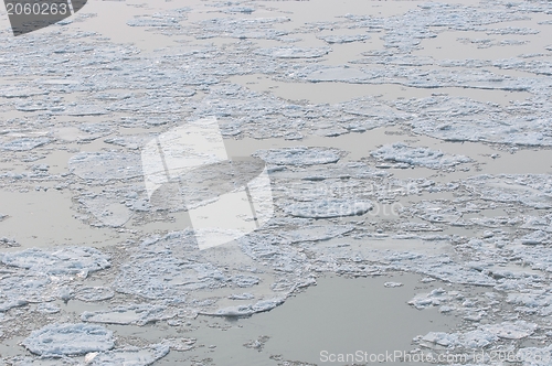 Image of Cold chilly ice on the water