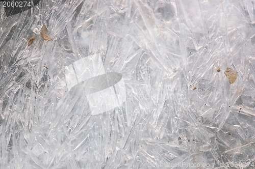 Image of Abstract ice background