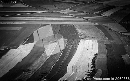 Image of Big field ready to harvest