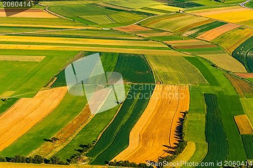 Image of Big field ready to harvest