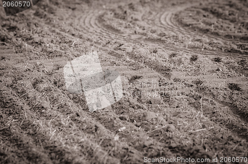 Image of Dry soil with dead plants