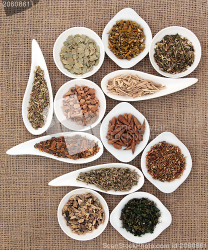 Image of Medicinal and Magical Herbs