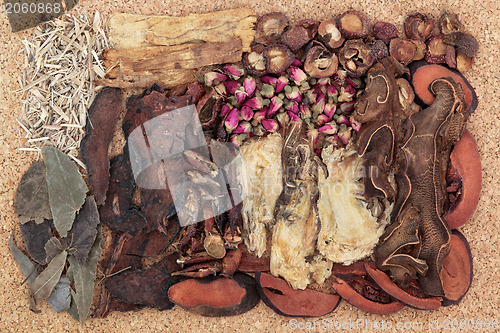 Image of Traditional Chinese Medicine