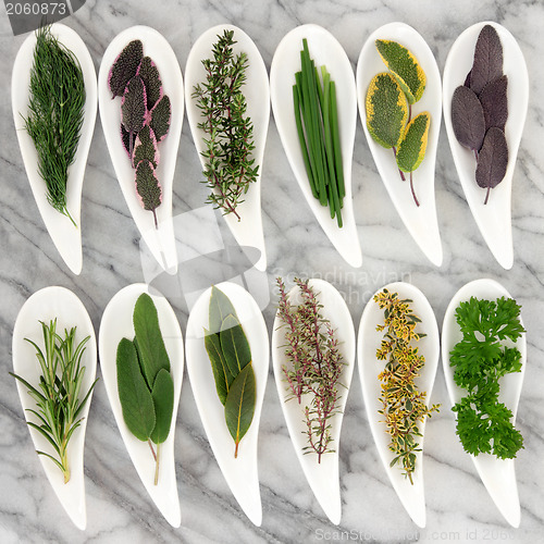 Image of Herbs