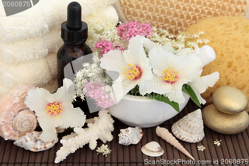 Image of Natural Spa Treatment