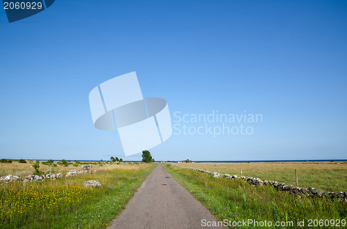 Image of Summer road