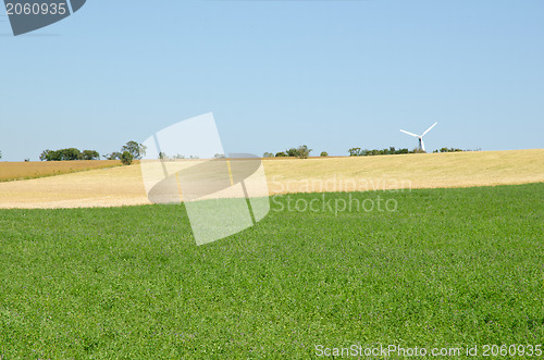 Image of Fields