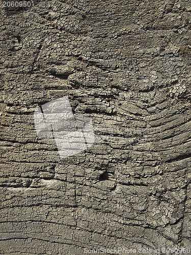 Image of Very old weathered wood texture