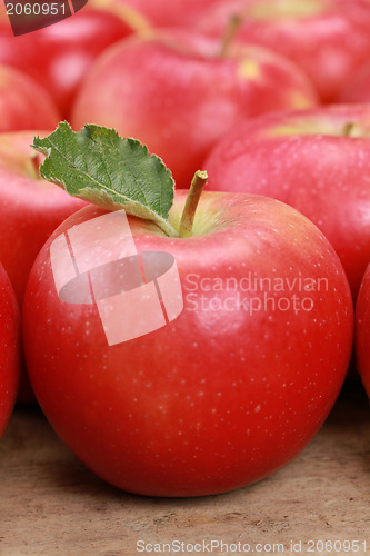 Image of Red apples with leaves