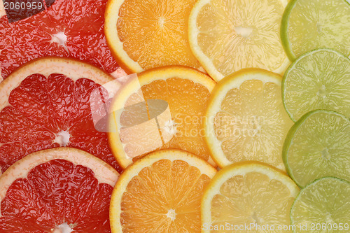 Image of Citrus fruits background