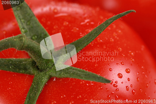 Image of Macro shot of a tomato