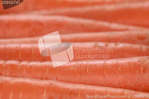 Image of Carrots