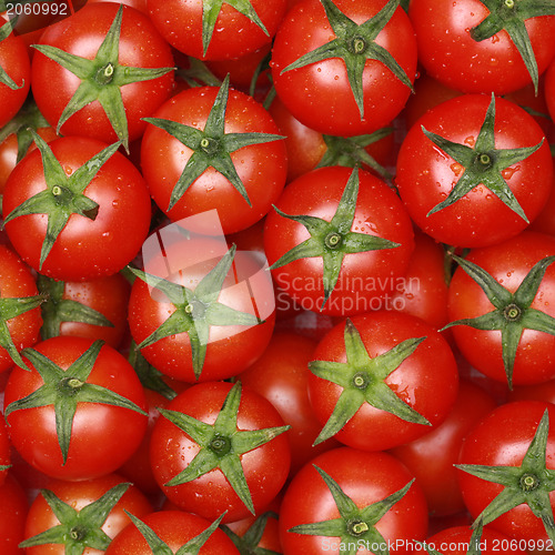 Image of Small tomatoes