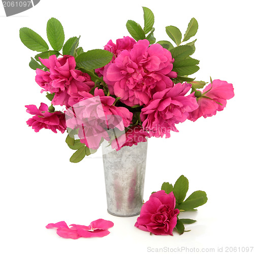 Image of Rugosa Rose Flowers