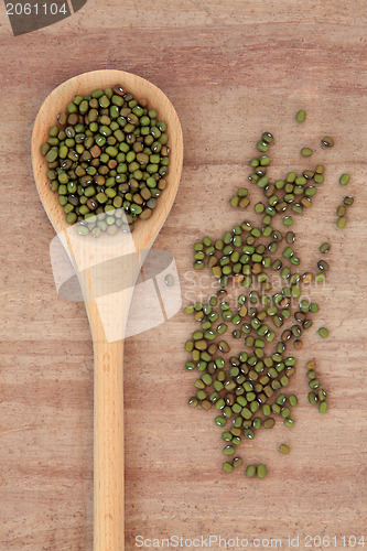 Image of Mung Beans