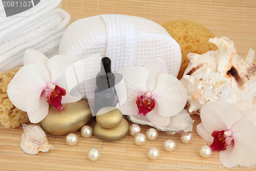 Image of Orchid Spa Treatment