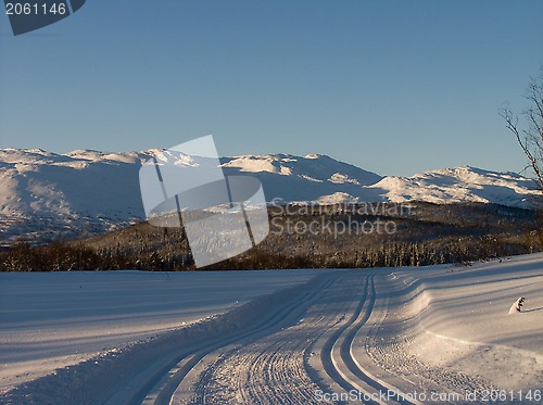 Image of Ski tracks
