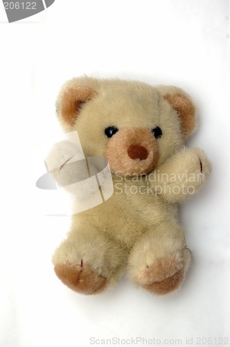 Image of Teddy Bear