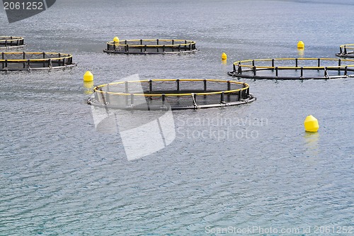 Image of Aquaculture nets