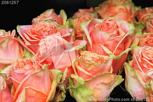 Image of Vintage roses