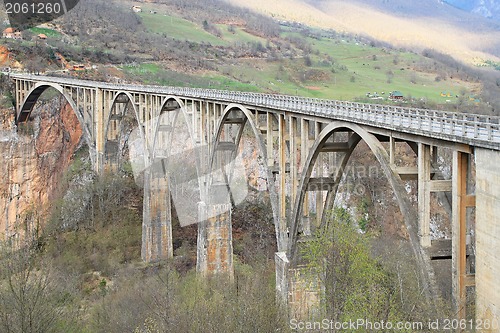 Image of Djurdjevica Tara Bridge