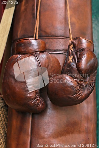 Image of Boxer gloves