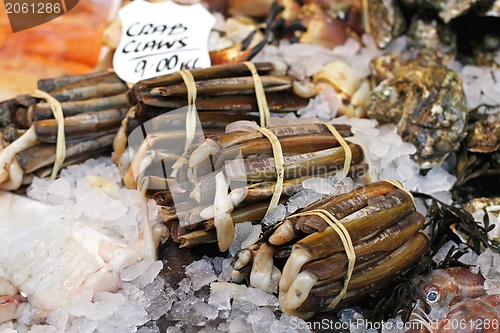 Image of Razor clams