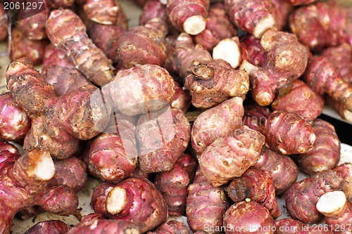 Image of Jerusalem artichoke