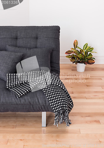 Image of Gray sofa and bright plant in the living room 