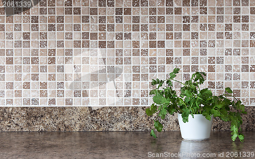 Image of Green herbs on kitchen countertop