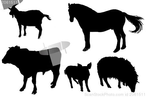 Image of black silhouettes of domestic animals