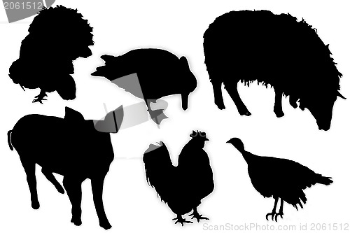 Image of black silhouettes of domestic animals and birds