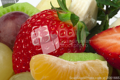 Image of Fruit salad