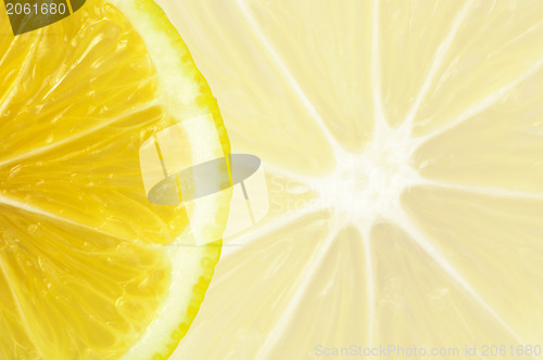 Image of Lemon close up