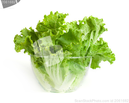 Image of Lettuce in a glass bowl