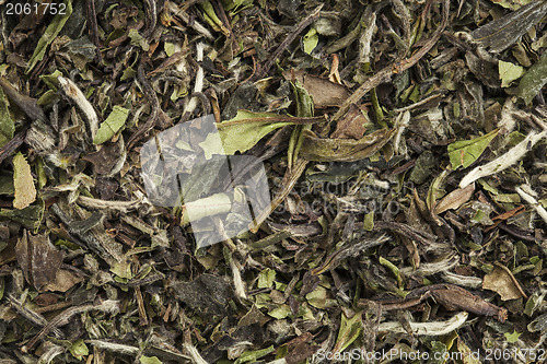 Image of organic white tea