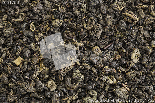 Image of gunpowder green tea