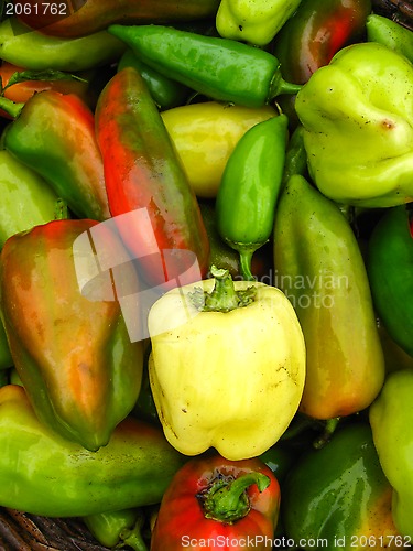 Image of a lot of sweet bulgarian ripe peppers